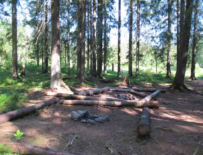 9. SKOGSHÖJDSPARKEN STADSDELSPARK Naturpark Ca 14,8 ha D:XI/1988 Natur: naturområde samt Park: anlagd park, D:V/1991 Natur: naturområde 204 Skogshöjdsparken är stadsdelens största park.