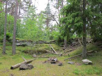 skog. Bestånden är generellt av mogen karaktär. Det finns många spår av lek och kojbyggen runt lekområdet.