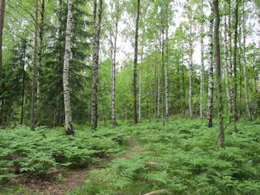 På platsen finns en liten lekplats i form av en gungställning och två picknickbord.