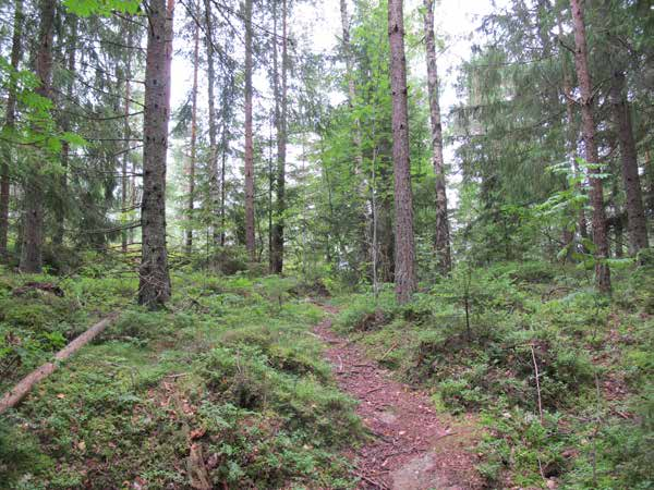 2. BERGHEMSGATAN NÄRPARK Naturkvarter Ca 3,9 ha D:V/1991 Natur: naturområde Det höga gräset och slyn motverkar användning av området och ger ett ovårdat intryck.