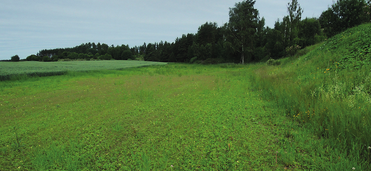 Ortolansparvens bekymmersamma nedgång i jordbrukslandskapen runt om i Sverige har uppmärksammats mycket de senaste åren, inte minst efter upprop och påtryckningar från just UOF.