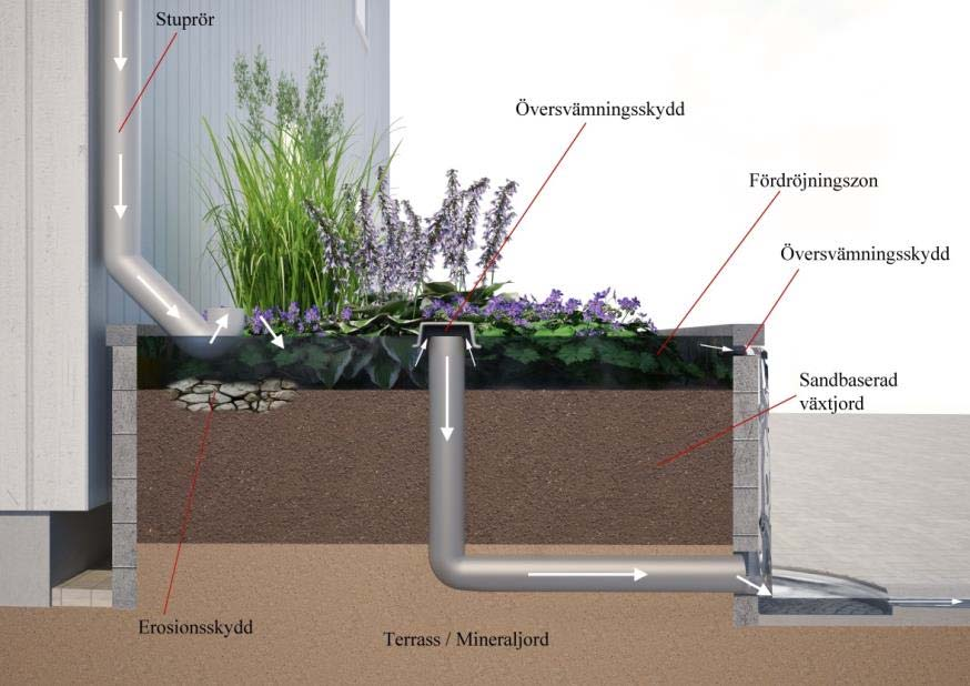 Biofilter/Regnbädd Definition: Vegetationsbeklädd markbädd med fördröjningszon för infiltrering och