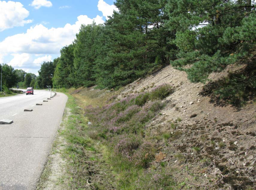 Vägren 1b En ca 190 meter lång sydvänd vägskärning. Den östra delen består av större ytor med bar sandig-grusig mark som delvis är bevuxen med ljung.