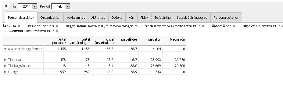 Personalstrukturrapporten har flikarna: o Personalstruktur o Organisation o Verksamhet o Aktivitet o Objekt o Kön o Ålder o Befattning o Sysselsättningsgrad o Personaldetaljer