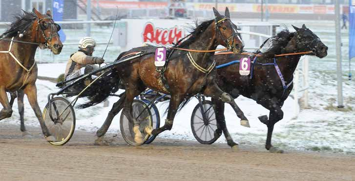 NYHETER 150131 V75-seger till grym Fossens Bonus Fossens Bonus fortsätter att leverera topprestationer. I lördags tog han karriärens första V75-seger och ståtar nu med fem raka.