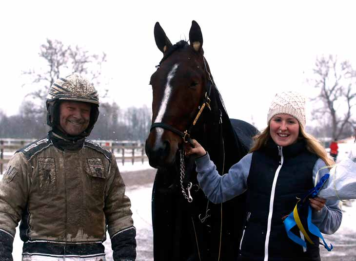 TRÄNINGSRAPPORTER Global Offshore - Gjorde en start på Solvalla med skor men han är klart missgynnad av det så vi väntar tills det går att köra barfota. Nu vintertränar han för fullt istället.