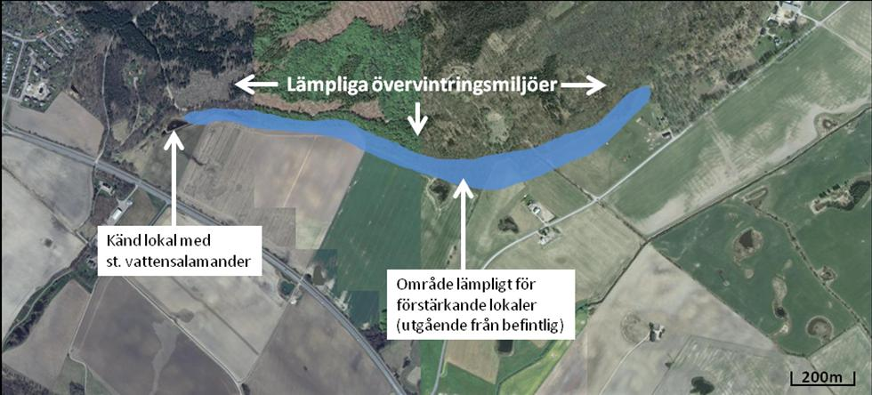 Lämpliga övervintringslokaler finns i skogen invid åkern, och zonen mellan åker och skog är