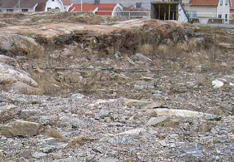 Området domineras av bergarten sedimentådergnejs som lokalt blandas med den till undersökningsområdet angränsande Bohusgraniten. Ådergnejsen är veckomböjd och utgörs lokalt av stora linser.