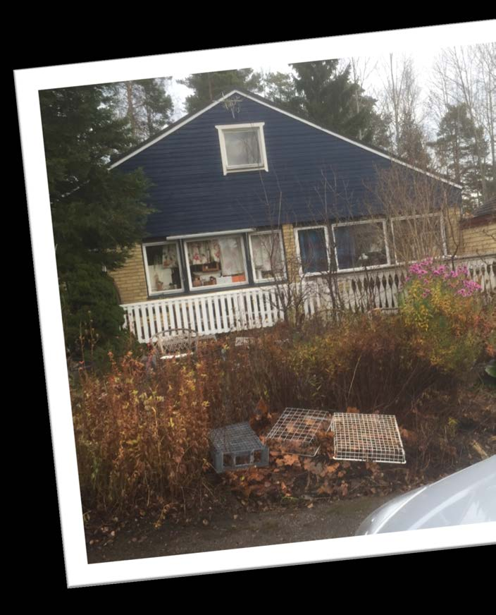 Gävle kommun 2017-02-09 37 Vegetation - allmänt I MÖDs dom, 2012-P 4796, framgår att i praxis hade domstolarna haft en ganska snäv syn på vad som avsågs med betydande