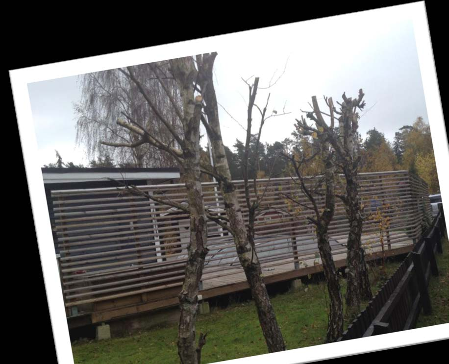 Plank eller staket, det är frågan?