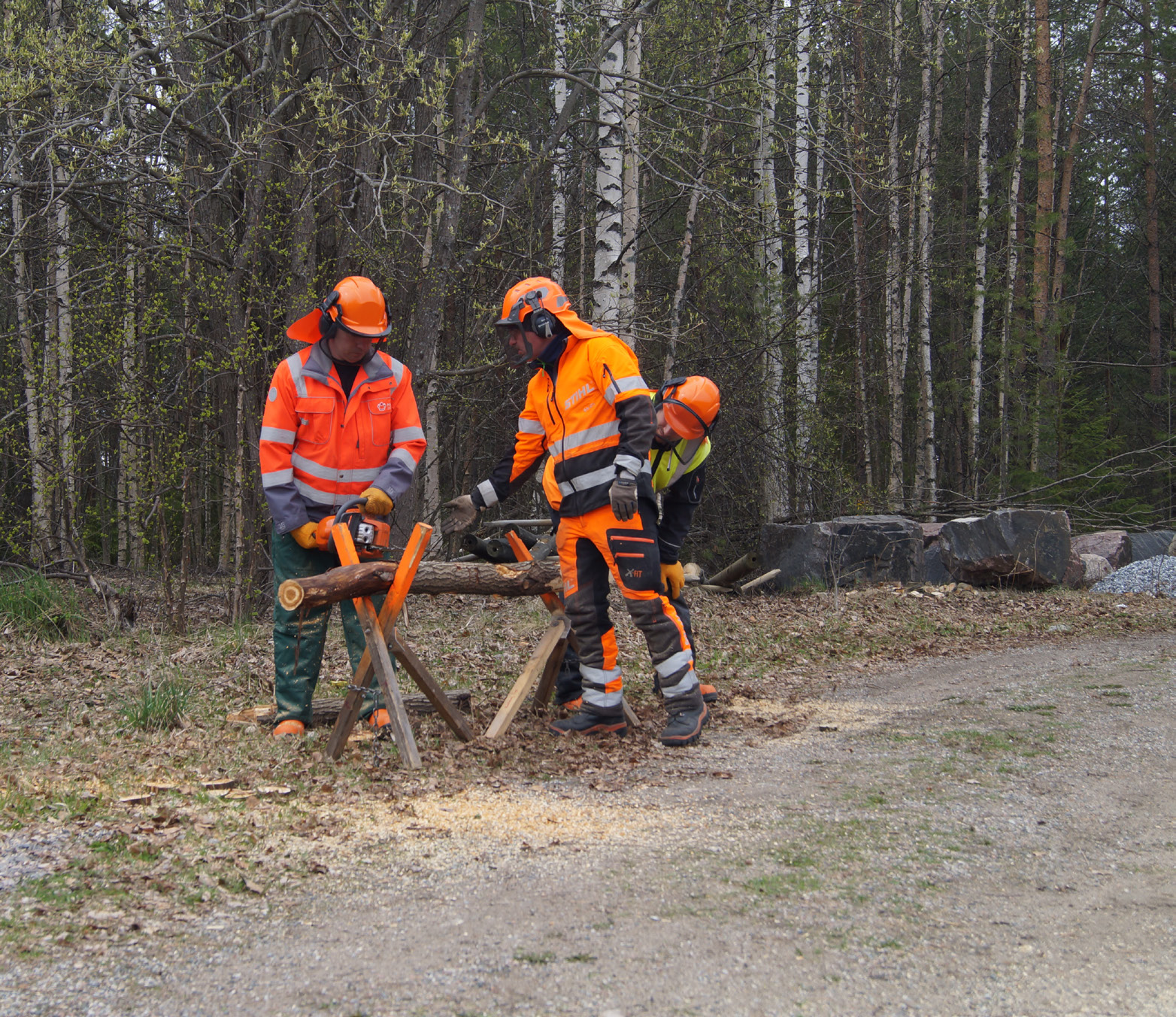 MOTORSÅG UTBILDNING FÖR ATT SÄKERT HANTERA MOTORSÅG.