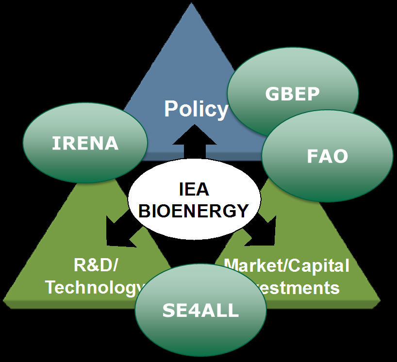 13 IEA Bioenergys mål: Säkra bioenergins roll i den framtida biobaserade ekonomin Förstärkt