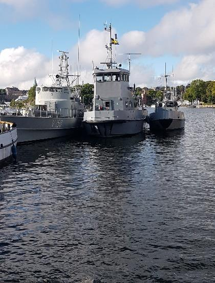 Inom arrendeområdet på Gålöbasen har stränderna städats samt sly röjts av bl.a. trafiksäkerhetsskäl.