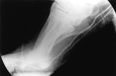 Även interventionell radiologi, som inom ett flertal områden idag ersätter kirurgiska ingrepp, tillhör denna grupp.