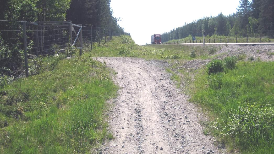 Figur 6: Grusstigen längs med E4 norr om Pitsund går över till en mindre parallellväg via port i viltstängsel. Juni 2011.