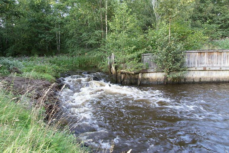 Pjältån 2008 Figur 5. Efter åtgärd. Mynningen har breddats och öppnats upp några meter i den södra kanten. Block och sten har lagts ut så att en mera långsträckt strömnacke bildats.