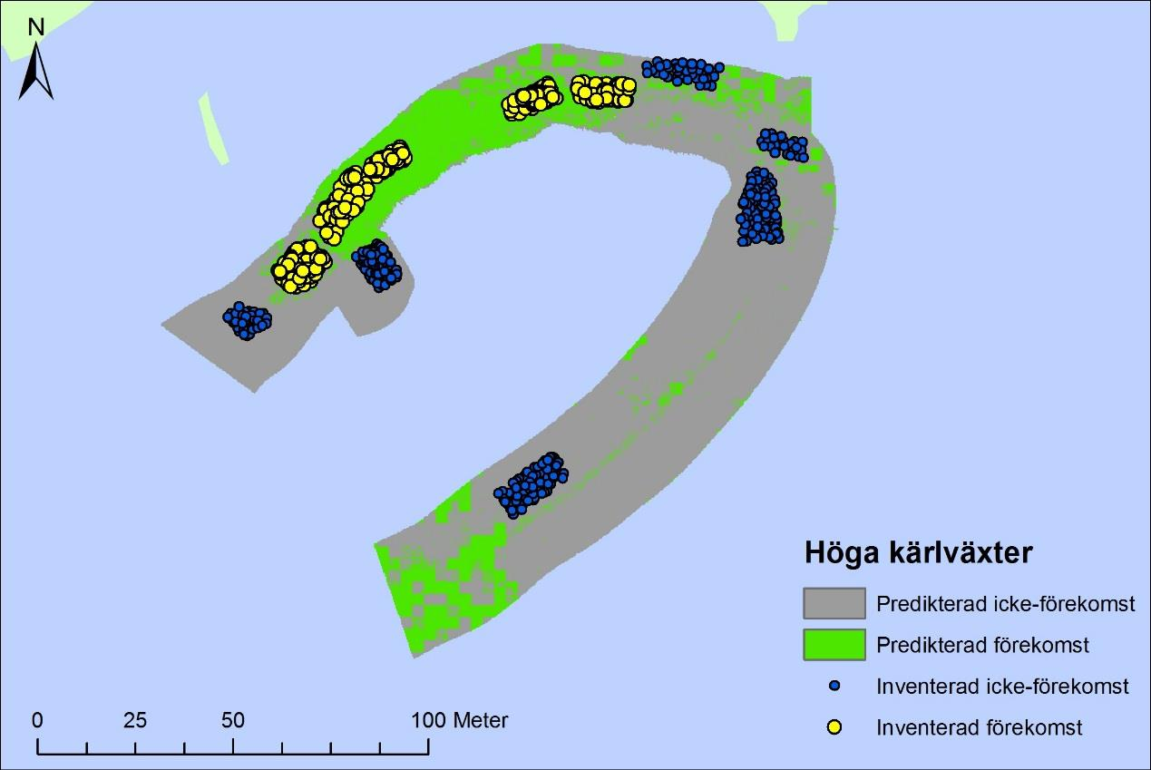 AquaBiota Report 2016:03 Figur 30 Prediktionskartor för transekt 1 & 2 samt för transekt 5 i Stockholm som representerar områden med förekomst av typbiotopen