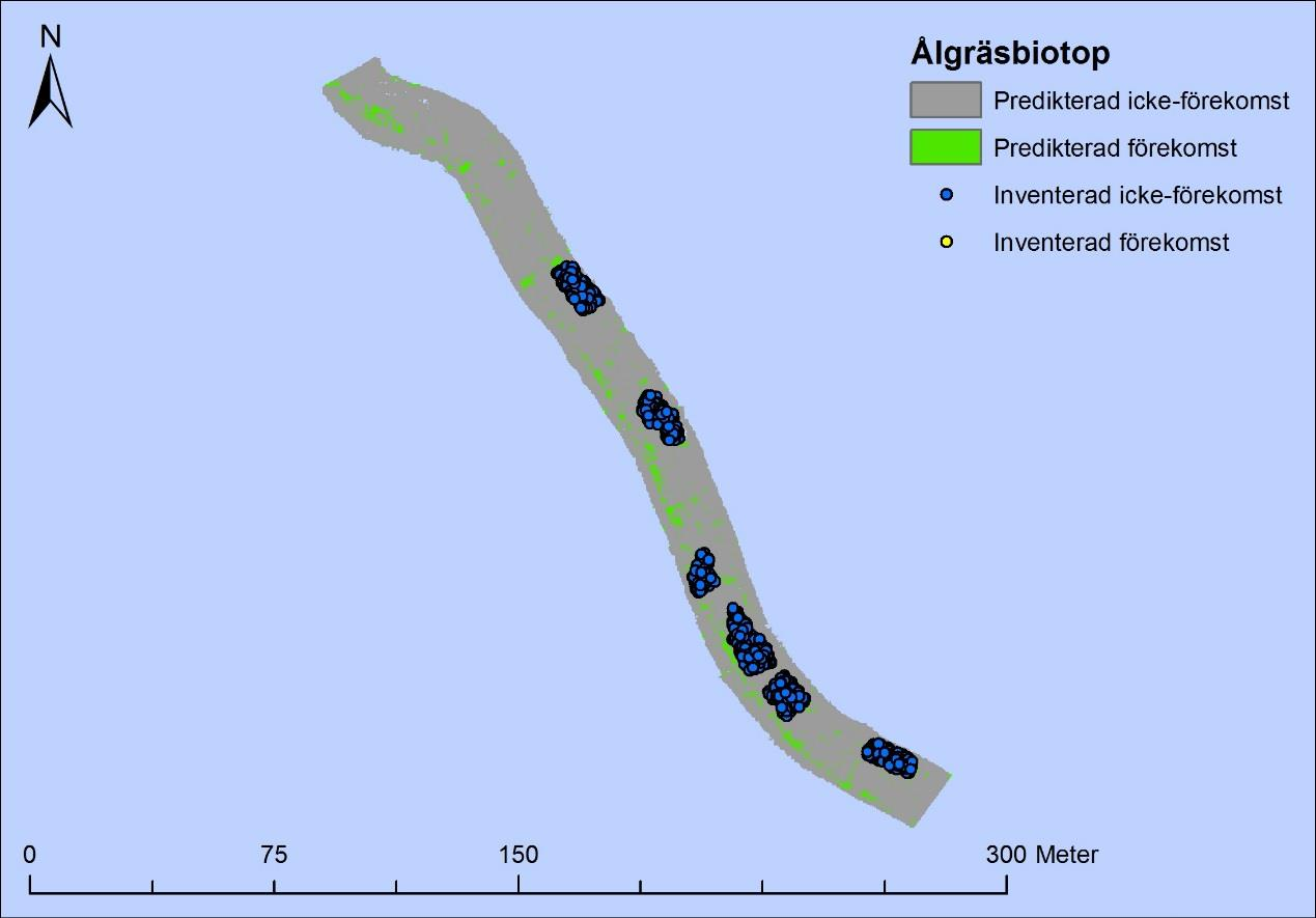 AquaBiota Report 2016:03 Figur 39 Prediktionskarta för