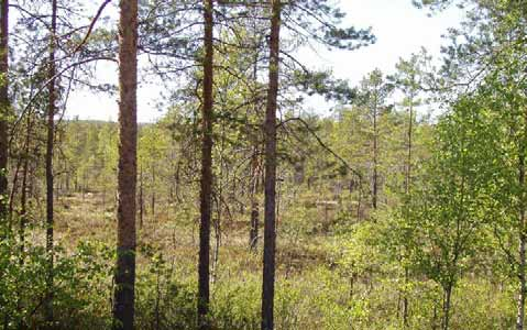 Väg 6, Vattenkydd Vindelälvåen Förtudie/Beluthandling AC--6. Byggnadteknika förutättningar Vägen går i huvudak genom kogmark med undergrund av vallediment, i huvudak and och grovmo.