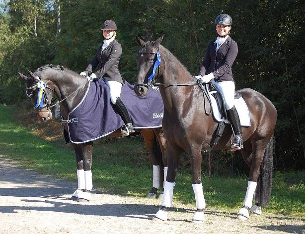 Norrlandsmästerskapen 2015 arrangerades av Örnsköldsviksortens RF. Distriktet fick både guld och silver i Junior/YR klassen!