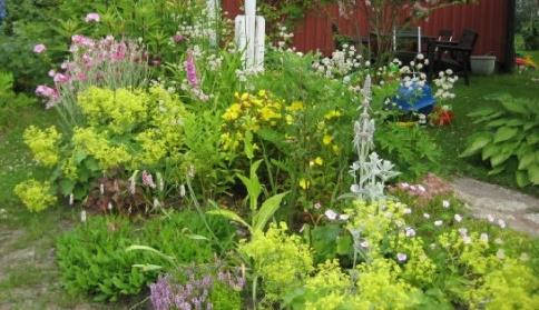 Sommarträff för odlare och trädgårdsälskare För andra året i rad blir det en sommarträff för medlemmar i alla trädgårdsföreningar i Karlstad med omnejd.