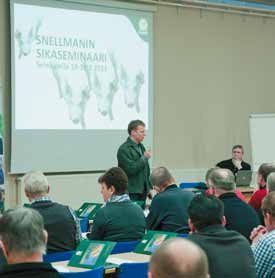 Den välmående grisen i fokus Tomas Gäddnäs, direktör för Snellmans primärproduktion, gav en kort återblick över utvecklingen samt presenterade centrala målsättningar inom Lantgårdens Bästa-svinkedjan.