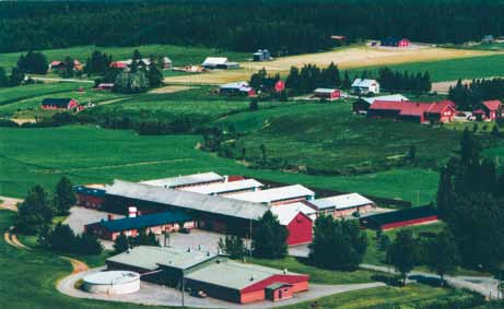 Faba Svin Ab är en officiell finländsk avelsorganisation, som producerar utvecklingstjänster för svinproduktion.