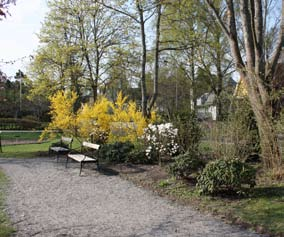 Dessutom är det nära ner till en lika fascinerande strandpromenad om man är intresserad av ovanliga arter av lavar, mossor, växter och fåglar.