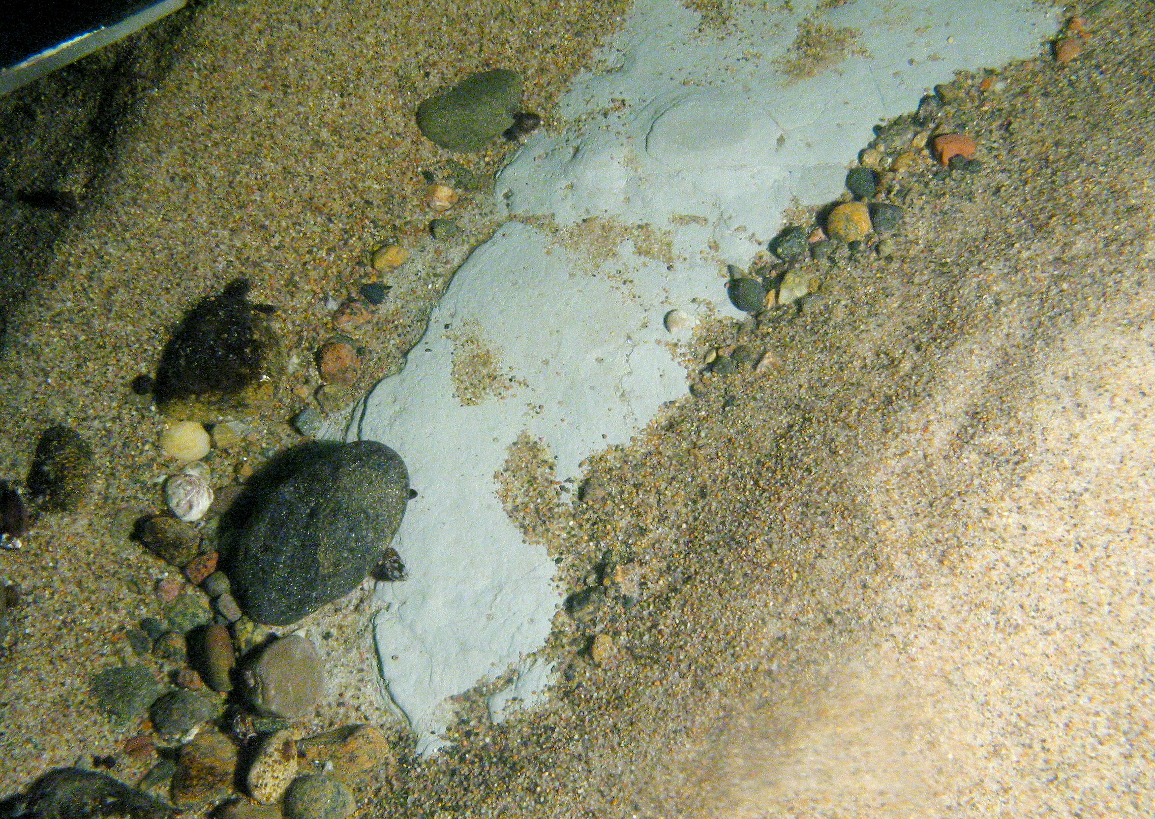 Figur 5. Tunt, rörligt lager av postglacial stenig grusig sand (redovisas som postglacial sand och grus i kartan) på glaciallera. Glacialleran syns i bottenytan mellan sandvågorna.