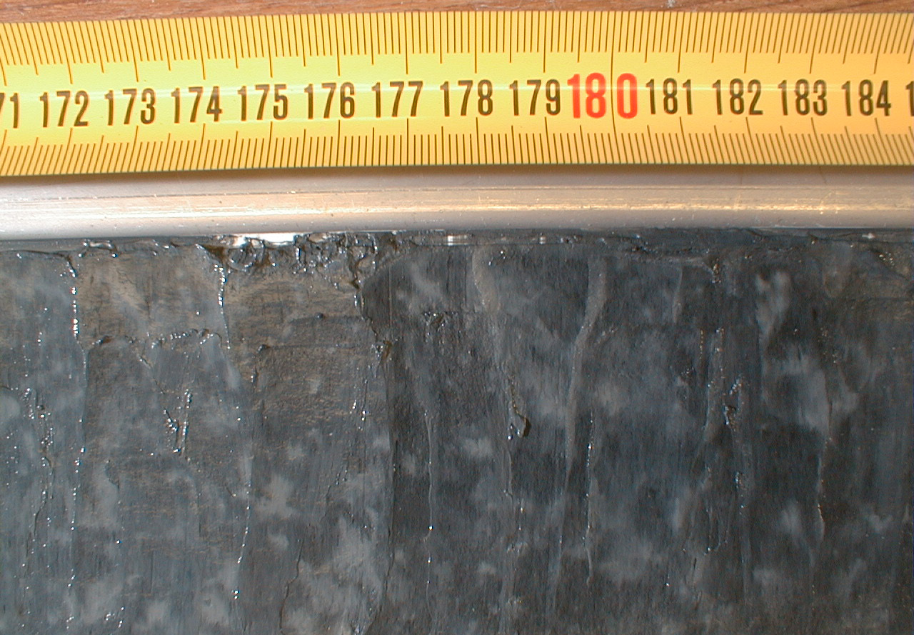Figur 9. Lera, kraftigt fläckad av järnsulfider, avsatt i Ancylussjön. Clay, stained by iron-sulphides, deposited during the Ancylus sea stage. Figur 10. Laminerad gyttjelera avsatt i Littorinahavet.