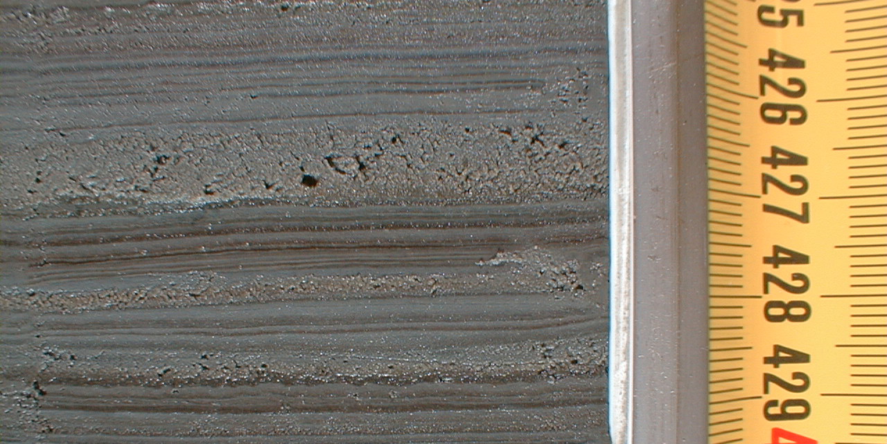Laminated gyttja clay deposited during the Littorina sea stage.