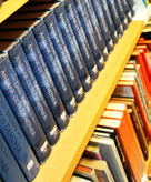 Individuellt val (200 poäng) Gymnasiearbete (100 poäng) VAD DRÖMMER DU OM?