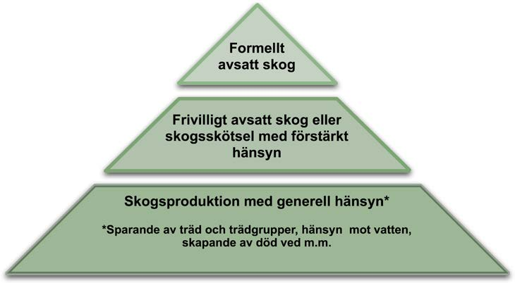 Vi vet dock fortfarande väldigt lite om hur skogsägare ser på naturvård i samband med skogsbruk och hur naturvård utförs idag.