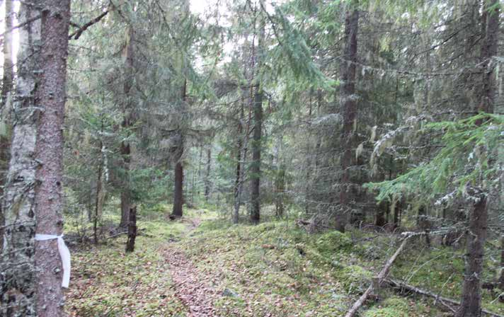 VÄGBESKRIVNING Fastigheten är belägen i närheten av Skålbo, ca 10 km norr Skedvi Kyrkby, 20 km Norr Säter. 16 km sydost Falun.