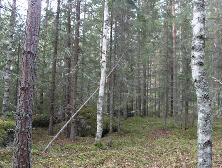 Information i denna beskrivning är baserad på ägarens uppgifter samt annat tillgängligt material. För felaktigheter, nuvarande eller eventuella kommande, i detta material ansvaras ej.