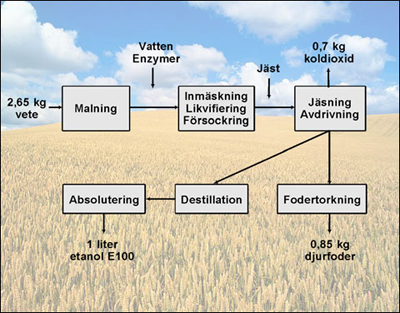 Figur 1. Framställning av drank (Agroetanols hemsida). 2.