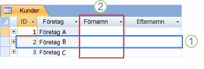 Tabell Bilaga 2 Post eller rad Fält eller kolumn En tabell innehåller data om ett visst subjekt, t.ex.