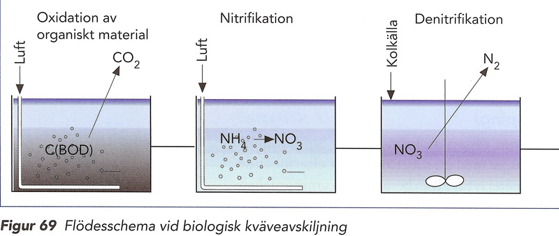 För en fungerande process krävs en syrefri miljö. Det får ej finnas löst syre i vattnet. Tillgång till goda kolkällor. (Metanol, CO 2 ) Lämplig temperatur.