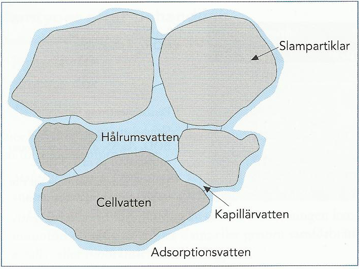 Slam Allmänt om slam Råslam är den gemensamma benämningen på slammet från de olika reningsstegen i vattenverket.