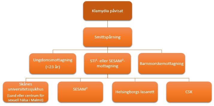 Ansvaret för en smittspårning ligger primärt på den läkare som diagnostiserat sjukdomen, i lagtext kallad behandlande läkare.