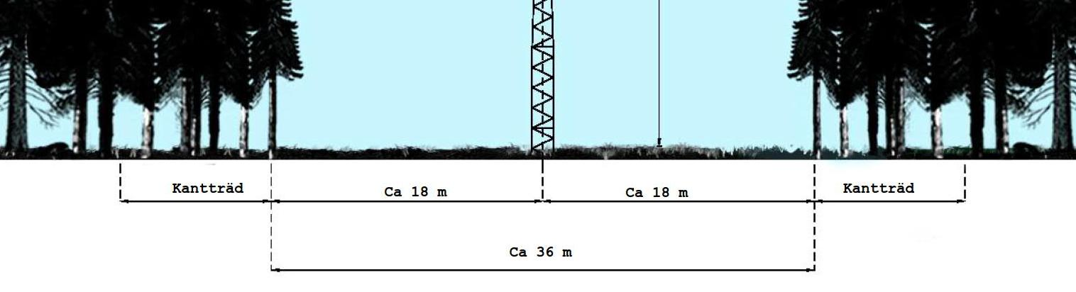 Även vissa högväxande träd i sidoområdena kan behöva tas ned om de riskerar att kunna falla på ledningen.