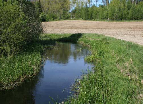 Florsjön och