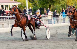 18 Bornholm Fredag 5. juni kl. 18:10 Bane 09 Danske Spils officielle spilliste 1 2 3 - TRIO KL.18:10 3-14-årige højst 50.000 kr. 10 startende. Gul Førstepræmie: 2.