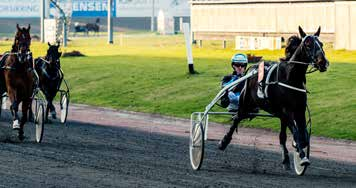 7 Danske Spils officielle spilliste Lørdag 6. juni kl. 18:05 Bane 01 Charlottenlund - TRIO - V5-5 KL.20:14 - TRIO KL.20:32 3-14-årige højst 135.000 kr. 4-årige højst 60.000 kr. 7 8 9 Lysbrun 2000 m.