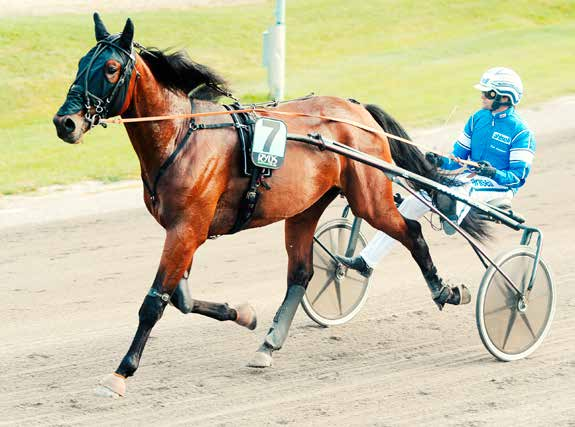 Racing News nr 43 4. juni 2015 31 Balero Mearas bliver denne uges bud på en ugarderet fra vores ekspert Carina Anderssons hånd. Foto: Kanal75 utv och landade utv led efter 600 körda.