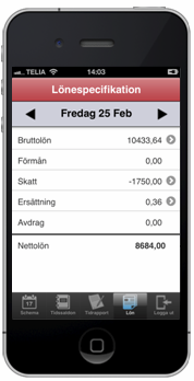 FLEX Tidredovisning Användarmeddelande (maj 2013) 17 Du kan registrera din tidrapport direkt mot FLEX Tidredovisning.