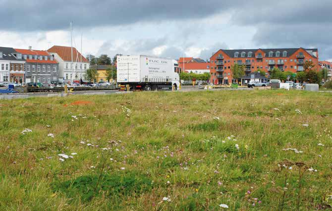 77 FRÅN GRÄSYTA TILL ÄNGSYTA Minskad skötsel med ängsytor Skötseln av gräsytor står idag för cirka 20-25% av en kommuns skötselbudget.