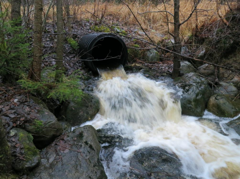 Vägtrummor som vandringshinder Fem åtgärdsobjekt inom