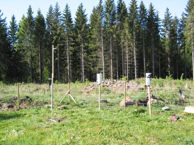 Provsamlaren flyttades i maj 9 ca m till ett öppet fält (Figur 7), på grund av att skogen runt mätplatsen vuxit sig hög. A B Figur 7.