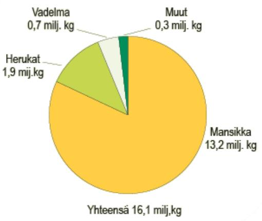 Jordgubbsodling i Finland Totala bärodlingen i Finland år 2013, Trädgårdsgårdar